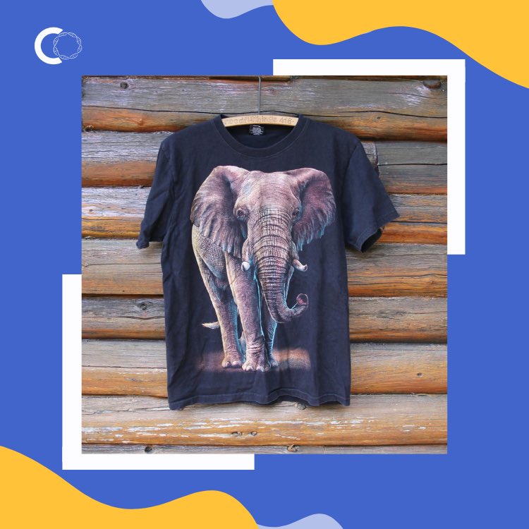 cienciaoberta's tweet photo. 👥#Equip | La Clàudia avui s'ha posat una samarreta amb elefants per anar de conjunt amb...! 🐘 #ElefantsNF @neurofregides https://t.co/zTQJajScY6