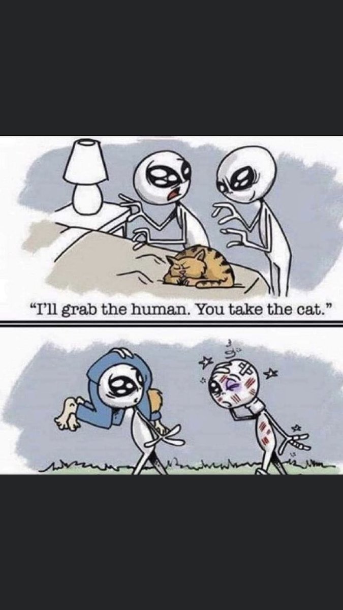 As a cat owner (and a dog owner but they are easier) this checks out! 😅