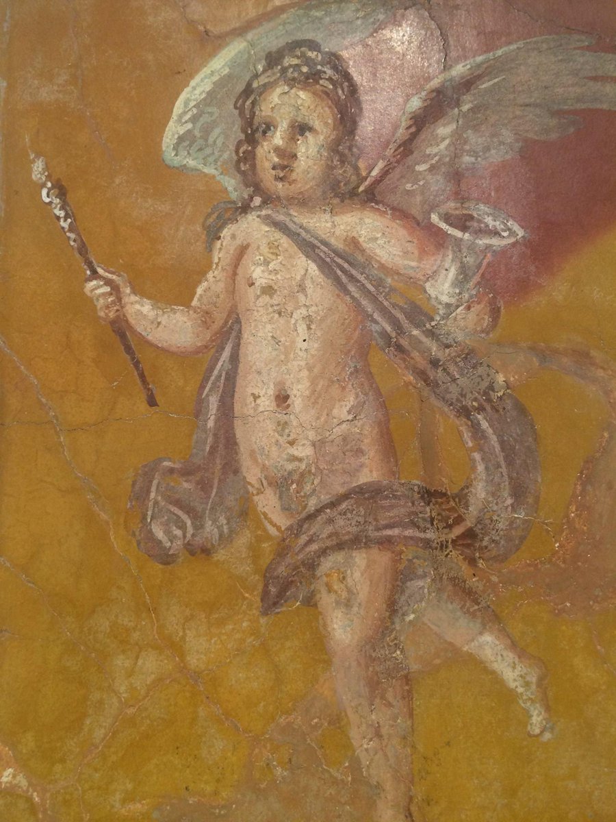 Nora Garibotti tweet media