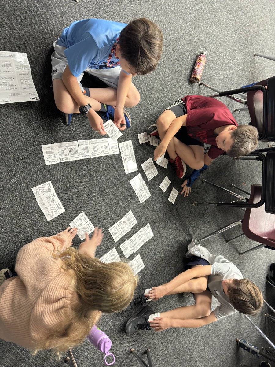 MrGoodine's tweet photo. Building food chains and seeing the flow of energy in an ecosystem. @KenstonSchools @KenstonKIS #myohioclassroom https://t.co/1nmwuBLEU7
