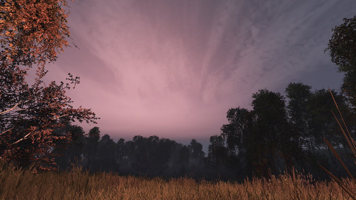 now0_'s tweet photo. Hey! LIVE sur #DayZ #Chernarus #Experimentale   #Patchnote 
👉https://t.co/4ClW3exeRk https://t.co/3vT30Zdiru