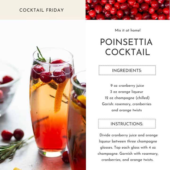 Prepping for Thanksgiving? 
Greet your dinner party guests with an unmatchable Fall festive cocktail! This Poinsettia cocktail is simple, delicious, and a delicious way to use champagne. 🍹This cocktail features tangy cranberry juice, bubbly champagne, and orange liqueur!
