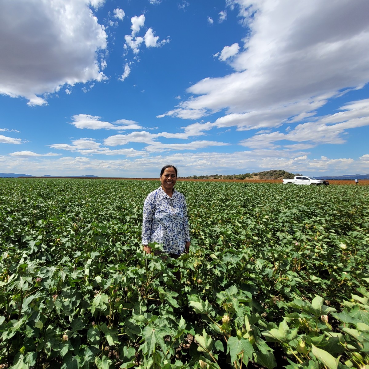 Today is #WorldCottonDay
The Australian irrigated cotton industry has doubled water productivity over the last 25 years.
Growers can contribute their cotton benchmarking data via the Australian Cotton Industry Water Productivity Benchmarking Project at brnw.ch/21wDi0T