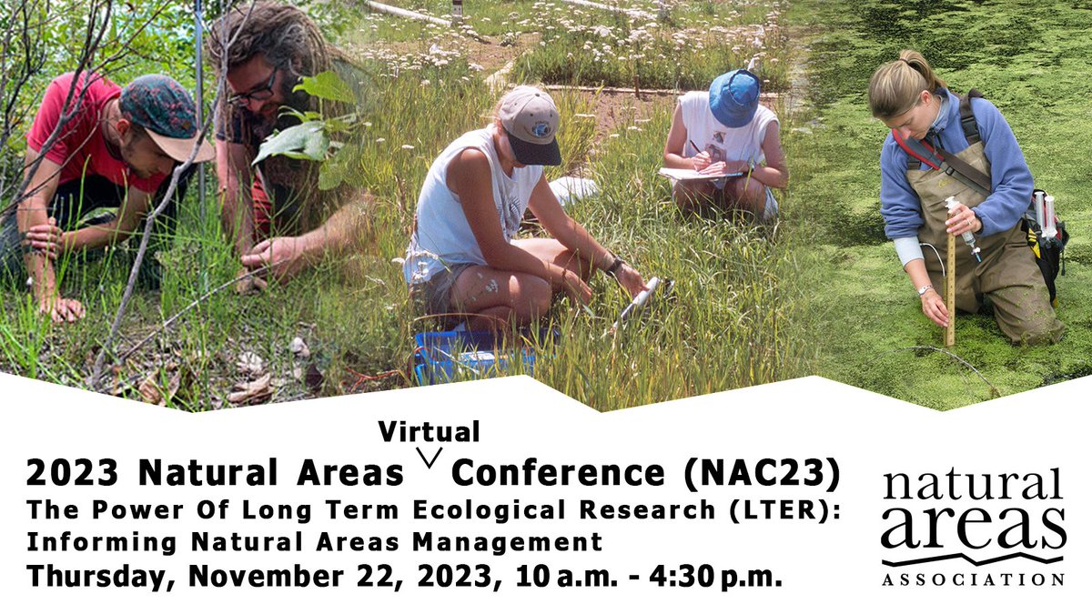 Join @naturalareas  for the Natural Areas Conference (NAC23) - A One-Day Virtual Event, The Power Of Long-Term Ecological Research (LTER): Informing Natural Areas Management. This virtual opportunity will take place on Nov. 2! #naturalareasassociation