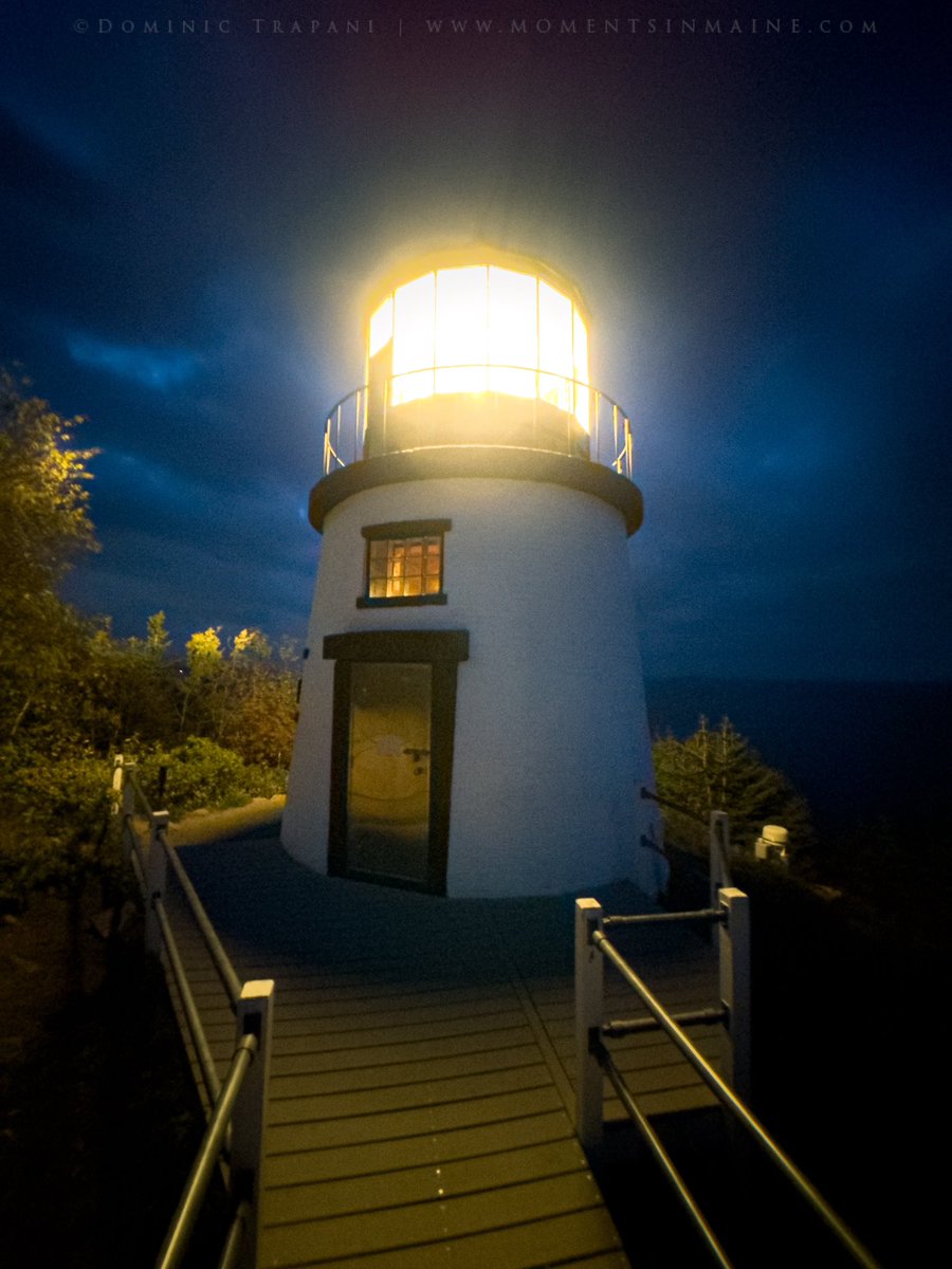 Dominic Trapani tweet media