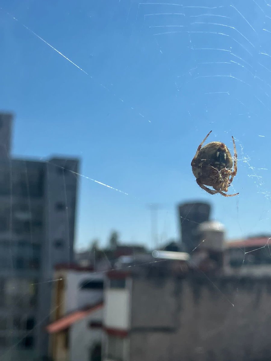 Iván Trueta tweet media