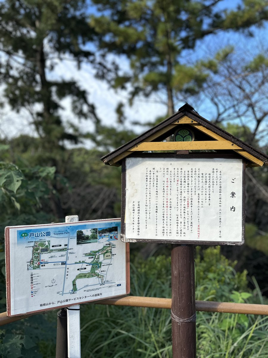 yamami_117's tweet photo. Hiked mount Hakone 🐾 https://t.co/kHrjGPZsKG