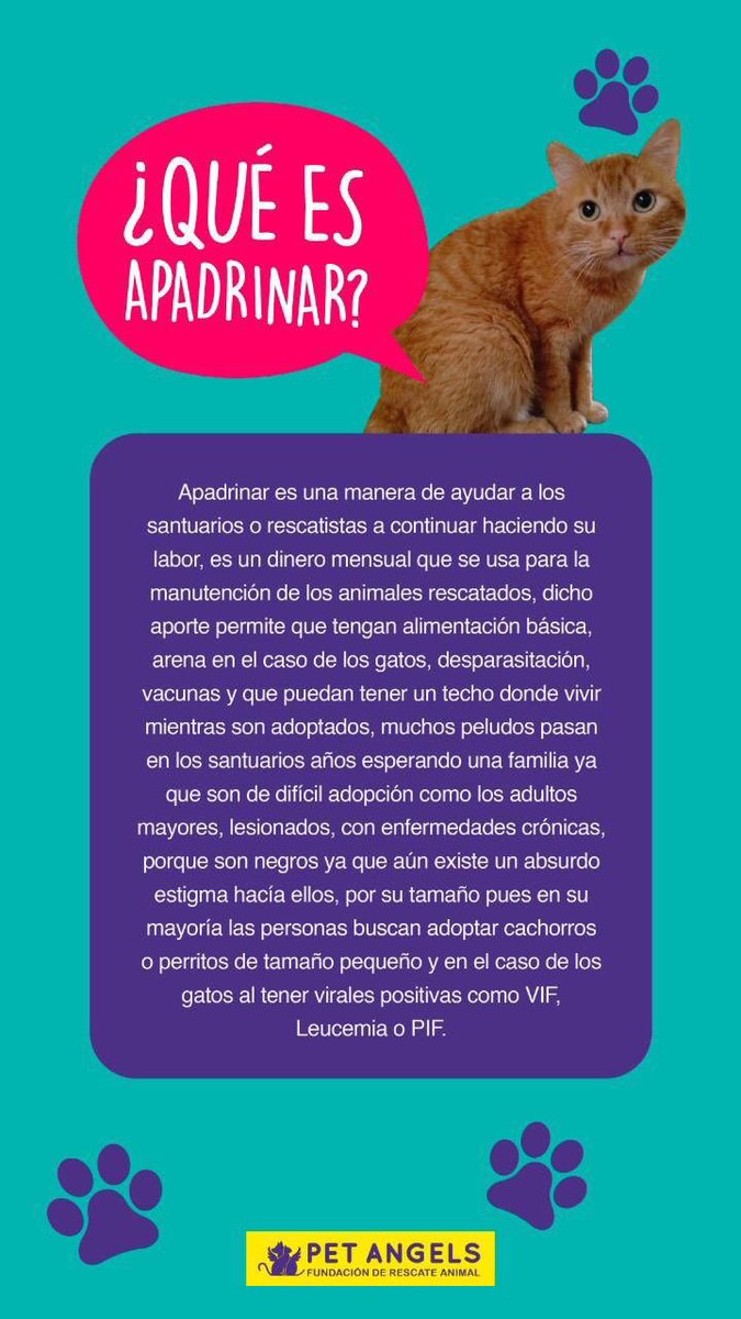 PetAngelsCol 🐱🐶 tweet media