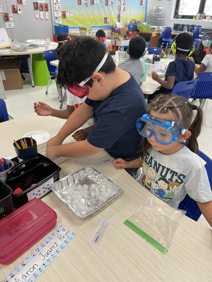 Mrs. Parker's swans tweet media