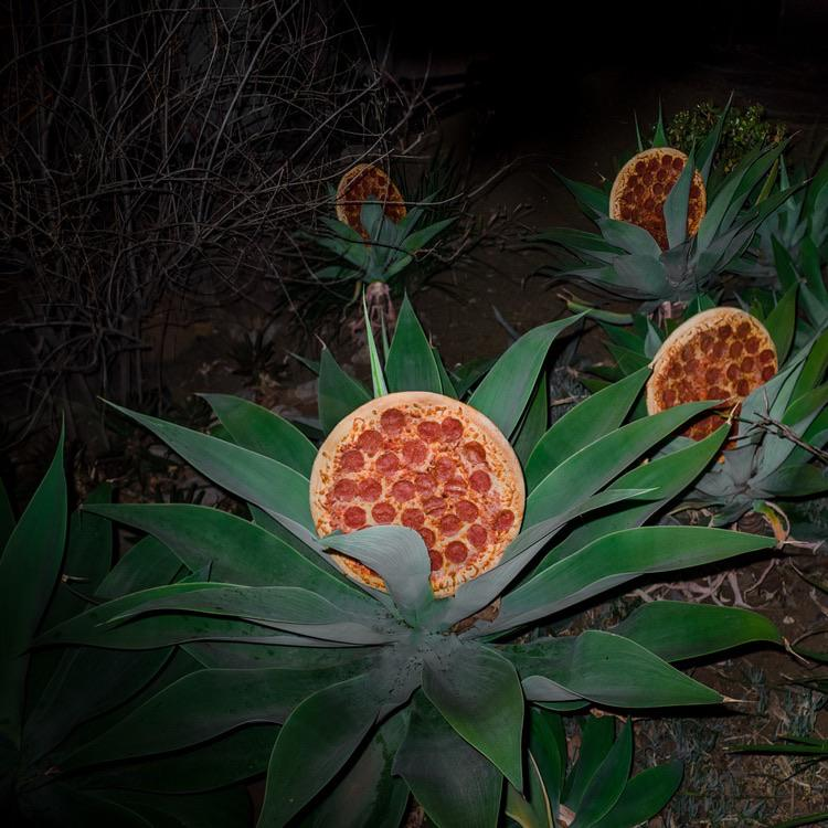 messedupfoods's tweet photo. i've always wondered how pizzas were grown https://t.co/YqpvYBTSPI