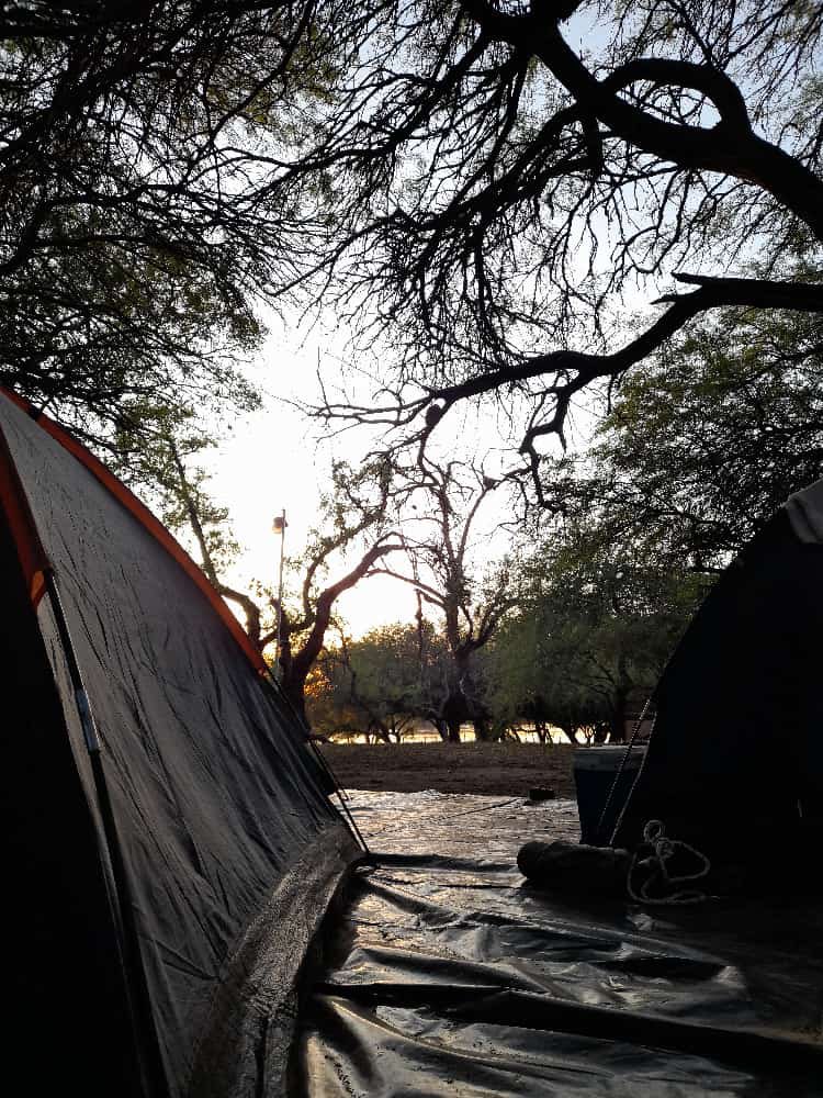 AGongora96's tweet photo. 🏕❤️‍🩹 https://t.co/sVy5PdLGiZ