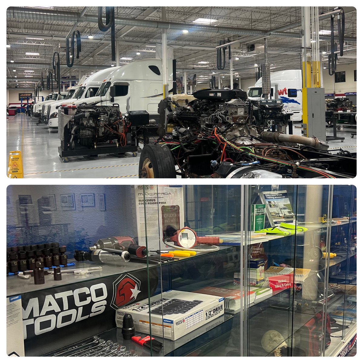 Monsi (@amonsivais_mhs) on Twitter photo Western Technical College offers a wide range of career options for students 🙌🏼🤩Introduced to all the great opportunities today during my externship <a href="/wtcep/">Western Technical College</a> <a href="/ESCRegion19/">ESC-Region 19</a> <a href="/CounselRAMS_MHS/">Montwood Counselors</a> <a href="/MontwoodHS/">David Herrera</a> #teamsisd Western Technical College offers a wide range of career options for students 🙌🏼🤩Introduced to all the great opportunities today during my externship <a href="/wtcep/">Western Technical College</a> <a href="/ESCRegion19/">ESC-Region 19</a> <a href="/CounselRAMS_MHS/">Montwood Counselors</a> <a href="/MontwoodHS/">David Herrera</a> #teamsisd