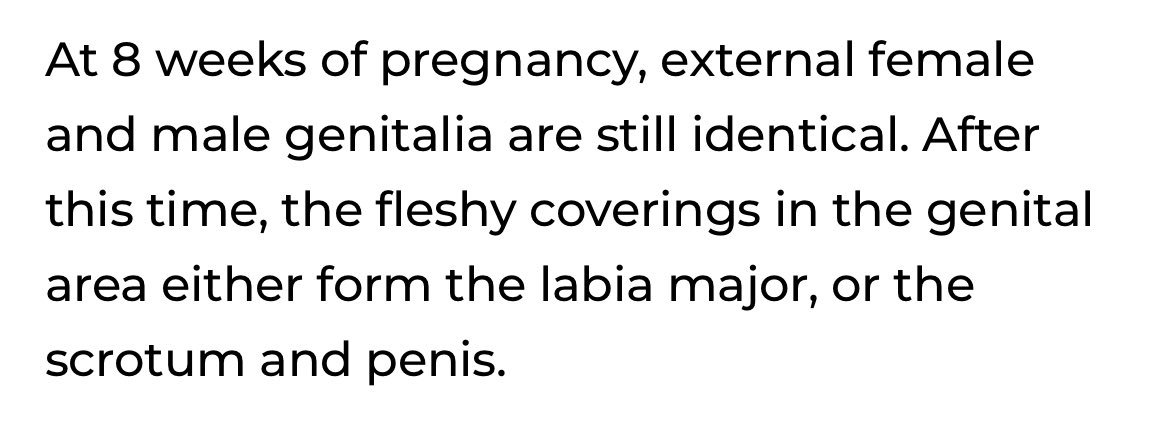 ✨Witch of Southern Light✨ tweet media