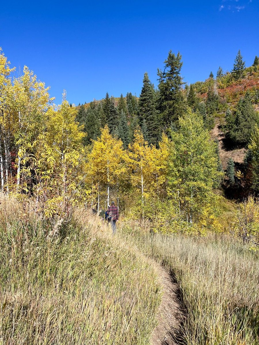 UtahFFSL's tweet image. 🌲 Utah&apos;s forests are not just pretty; they play a crucial role in our ecosystem. They purify our air, provide wildlife habitat, and boost our local economies.  🍂🦌 #TreesAreTheAnswer #ForestryMatters