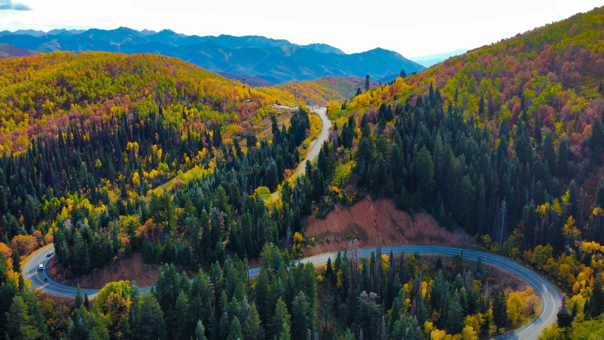 UtahFFSL's tweet image. 🌲 Utah&apos;s forests are not just pretty; they play a crucial role in our ecosystem. They purify our air, provide wildlife habitat, and boost our local economies.  🍂🦌 #TreesAreTheAnswer #ForestryMatters