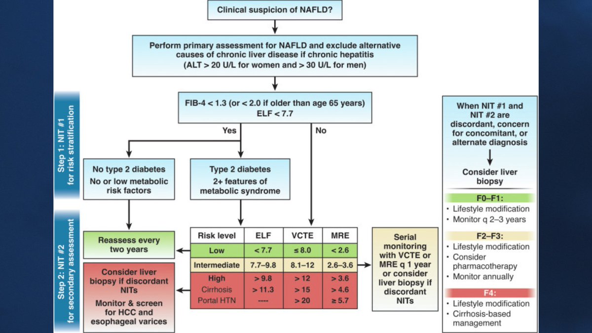 AmerGastroAssn's tweet photo. New AGA Clinical Practice Update in @AGA_Gastro on noninvasive biomarkers for NAFLD/MASLD from Dr. Julia Wattacheril, @Mayo_liverdoc, Dr. Joseph Lim and @ArunJSanyalVCU #GITwitter https://t.co/4jo7smnvwp https://t.co/QrTMZ8pTcM