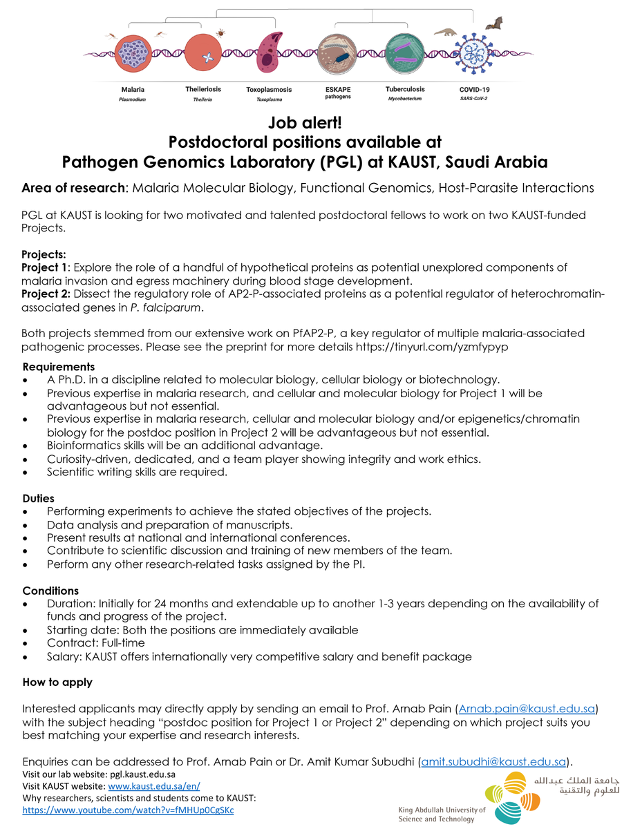 Job alert! The Pathogen Genomics Group at  KAUST is looking for two talented postdocs to join our malaria research program. More details about the job openings can be found below.  Please help us to spread this information. #MALARIA @parasitesrule @veupathdb @ParasiteSlack