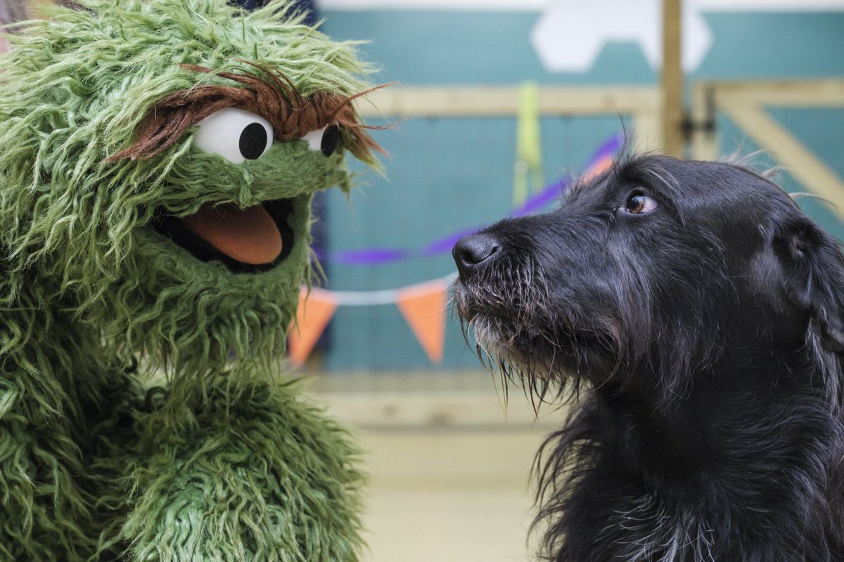 Oscar the Grouch tweet media