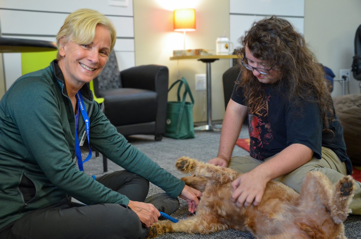District287's tweet photo. Our students at West Education Center were introduced to Nancy Lange and Louie the goldendoodle with @NSTA. Students at WEC will have the opportunity to practice their #literacy skills by reading to Louie and other dogs in a calm and relaxing environment.

#287EdChat https://t.co/zNKJSSZil7