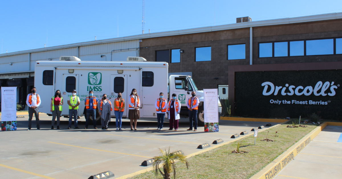 driscollsberry's tweet image. We’re celebrating 7 years of @FairTradeCert! Each purchase of Driscoll’s #FairTradeCertified berries supports the livelihood &amp;amp; wellbeing of workers &amp;amp; community members in the San Quintin Valley of Baja California. 

driscolls.com/about/thriving…

#PurchaseWithPurpose
#FairTradeMonth