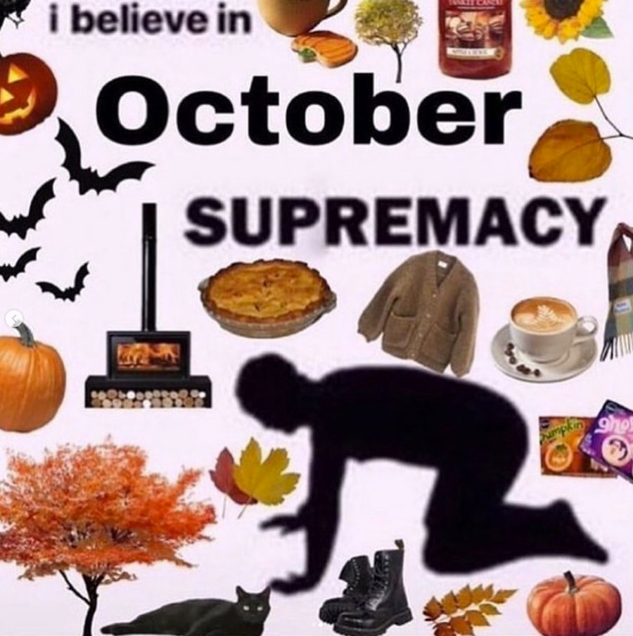EverythingOOC's tweet photo. https://t.co/cIpbzNqUaD