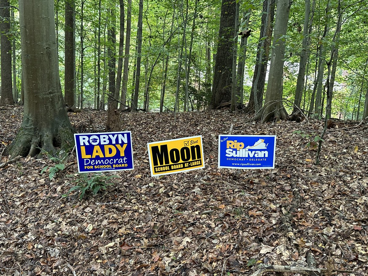 I voted this afternoon at North County Govt Center in Reston. I was very happy to vote for <a href="/RobynLadyVA/">Robyn Lady for School Board</a>, <a href="/Moon4Schools/">Elect Ilryong Moon</a>, <a href="/RyanLMcElveen/">Ryan McElveen</a>, <a href="/KyleMcDaniel89/">Kyle McDaniel</a>, <a href="/JimmyBiermanVA/">Jimmy Bierman for Dranesville District Supervisor</a>, <a href="/JenniferBoysko/">Senator Jennifer Boysko</a>, <a href="/RipSullivan6/">Delegate Rip Sullivan</a>, <a href="/McKay4Chairman/">Jeff McKay</a>, &amp; <a href="/Falcon4Fairfax/">Chris Falcon</a>!! These👇just happen to be the signs I