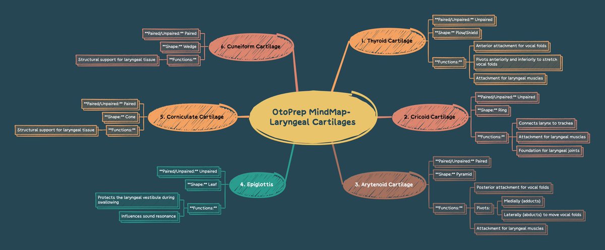 OtoPrep's tweet photo. Accelerate your learning with #OtoPrep! Explore key details of Laryngeal Cartilages with one of our insightful Mindmaps, designed to optimize your revision!
Link in Bio!
#Larynx #Otolaryngology #Mindmap #MedTwitter #MedEd #ENTExams #ENTResident #ABOto #AOBOO #EBEORLHNS #FRCSENT https://t.co/1xJ2NUlAG3
