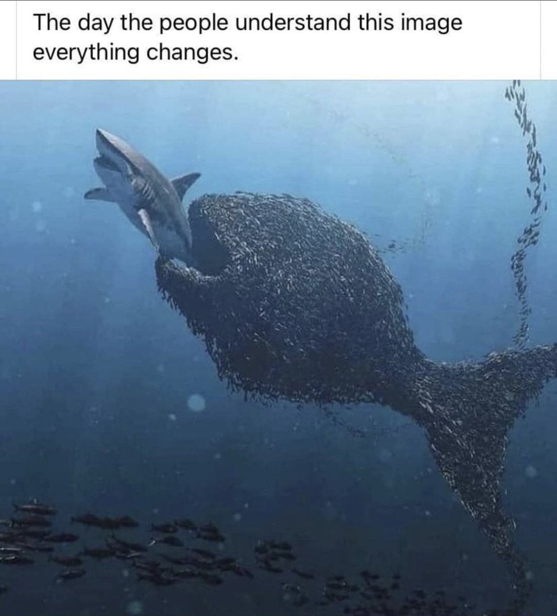 CyprianThankgod's tweet photo. The day the Nigerian masses understands this, is the day we will liberate ourselves as a nation. https://t.co/whIJEokckK