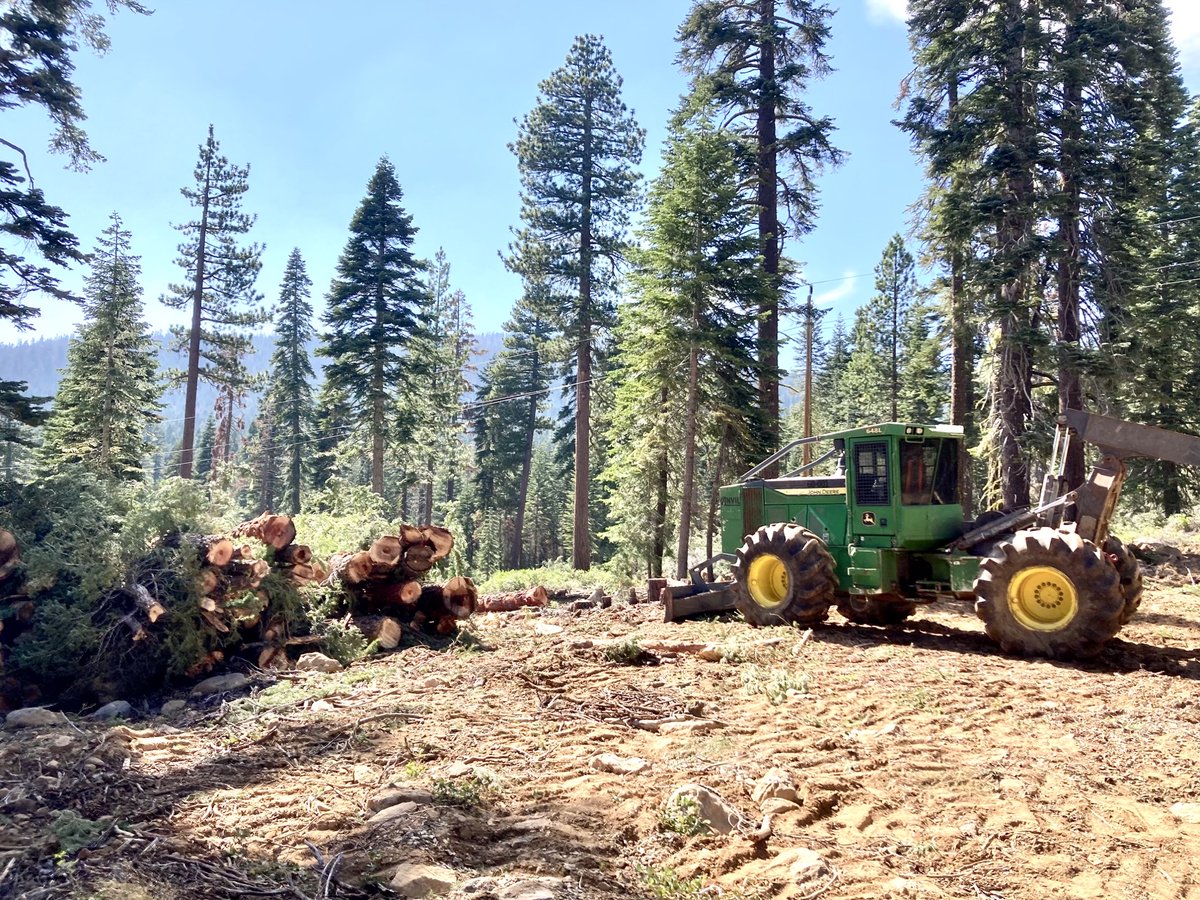LakeTahoeUSFS's tweet image. Forest thinning underway to reduce wildfire threat, improve forest health. These projects complement defensible space, home hardening efforts on private property. No closures planned. Forest visitors should use caution in these areas. #FuelsReducton #HealthyForests #FireAdapted