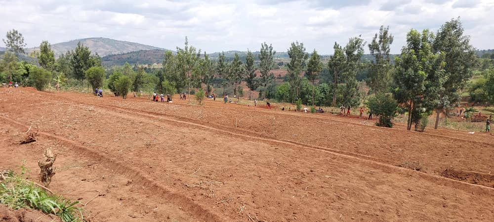 HuyeDistrict's tweet photo. Mu mirenge abahinzi barasurwa muri gahunda yo gukurikirana imigendereke y'igihembwe cy'ihinga 2024A; imikoreshereze y'imbuto n'inyongeramusaruro;ubujyanama n'ubukangurambaga ku guhinga ubutaka bwose bw'ubuhinzi.
Tuzishimira kubona buri muhinzi yihagije mu biribwa.
#HingaWeze https://t.co/pdUruCTbHb