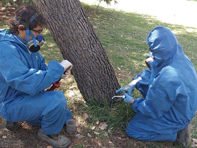 Foto cedida por Ayuntamiento de Rivas