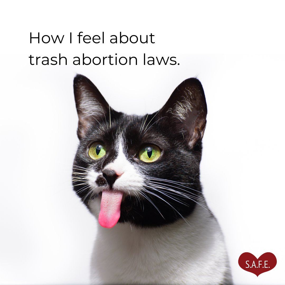 It's #Caturday! This cat supports the decriminalisation of abortion.

#prochoicecats #CatMemes #WeLoveAbortion #AbortionMemes #Weekend #AbortionAccess #AbortionIsEssential #AbortionIsSafe #AbortionIsHealthcare