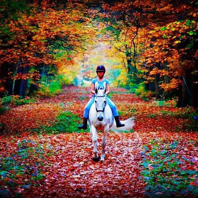 Fall is proof that change is beautiful 🍁

CV-Coaching.nl