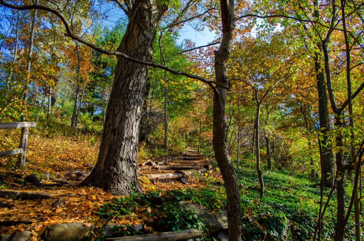 Wave Hill tweet media