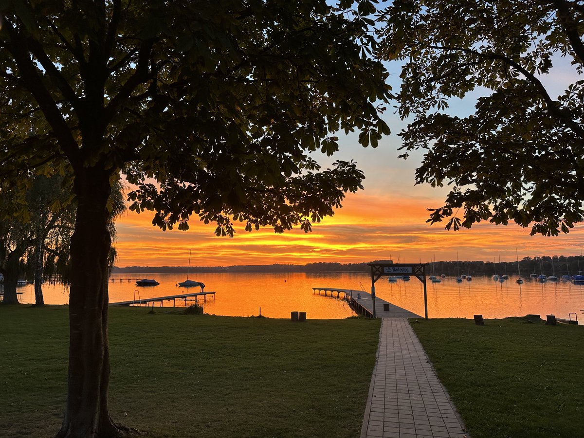 Gerrit Brand (@gerrit_brand) on Twitter photo 