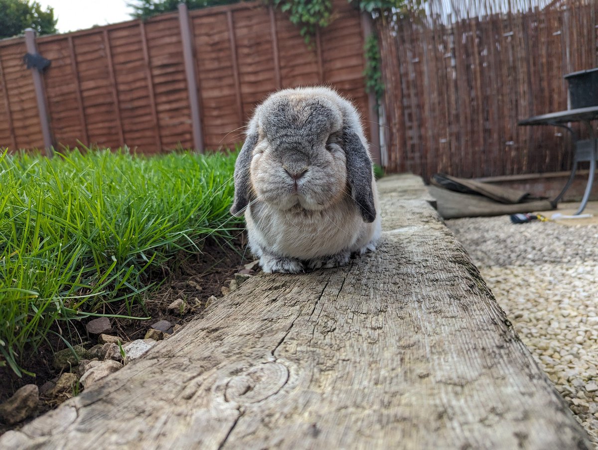 🤍L.I.A🤍 tweet media