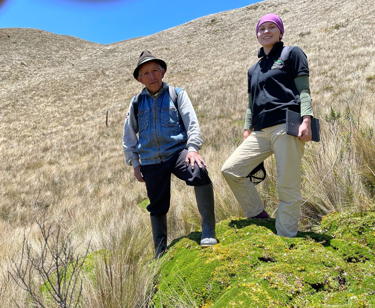 Proyecto Conservación de Bosques tweet media