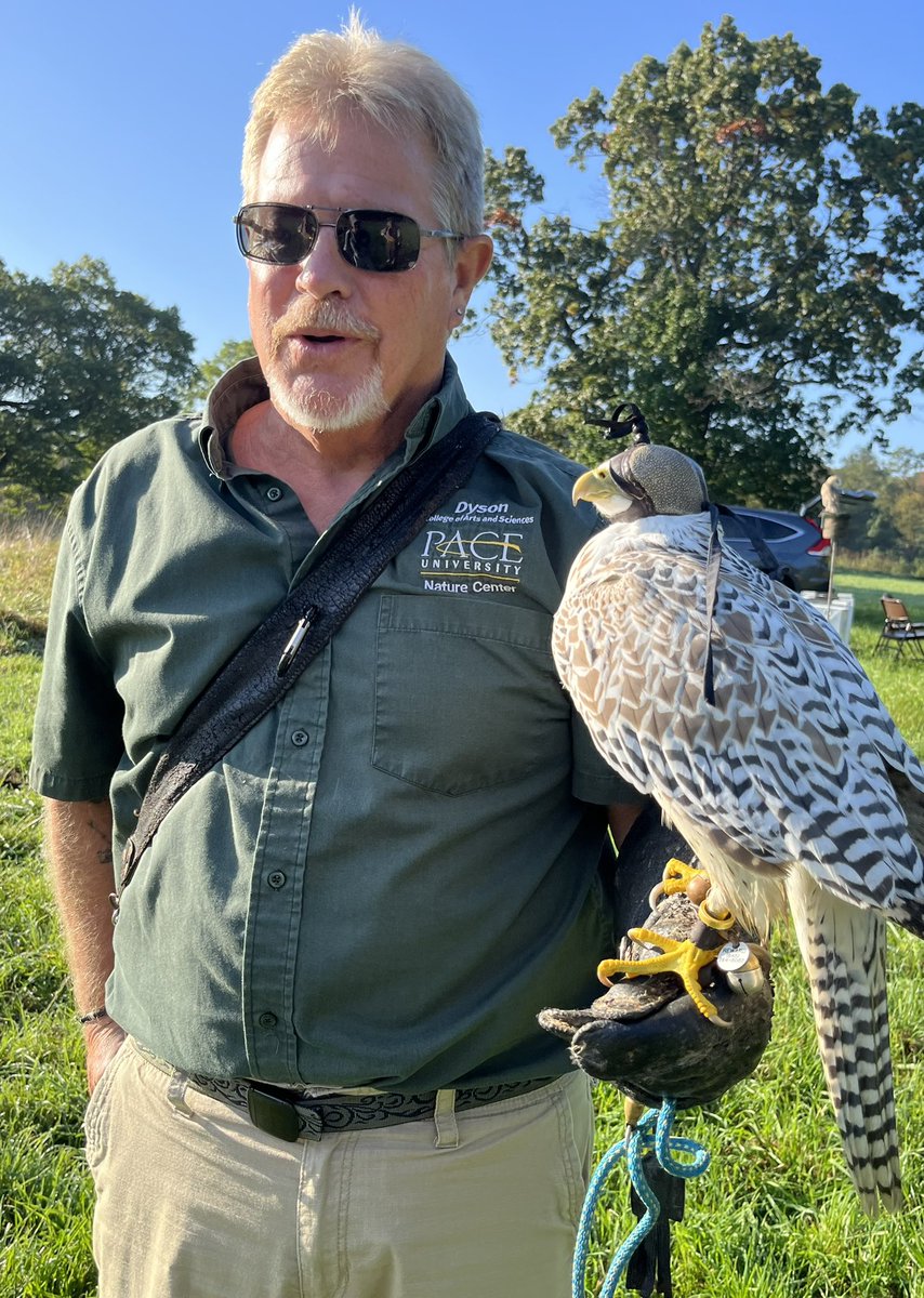BrownPocoBlue's tweet photo. Our walk around Swan Lake was made even more incredible by a special program with a local falconer, who presented to every single grade as a station along their walk! https://t.co/0gX3aq6tU6