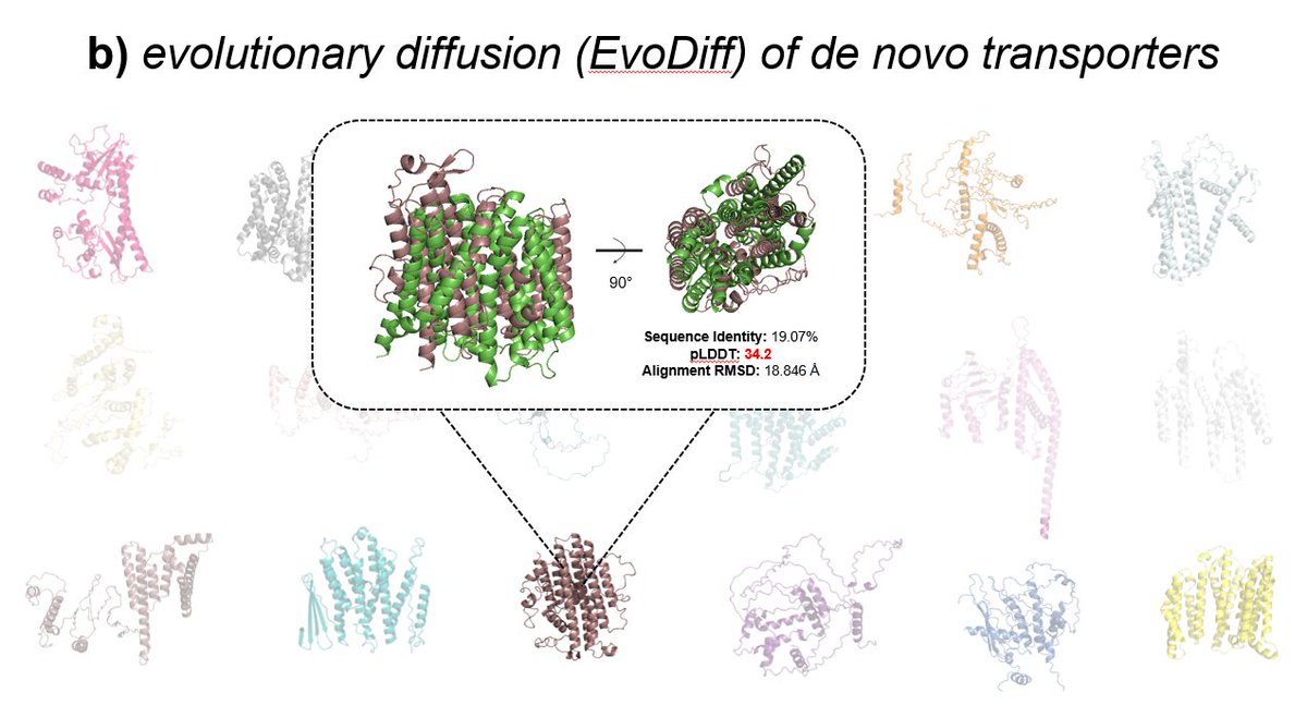 sri (@srivsesh) on Twitter photo Having a ton of fun playing around with EvoDiff towards multi-drug resistance transporter design. Thank you <a href="/KevinKaichuang/">Kevin K. Yang 楊凱筌</a> for your inspiring contributions to this field. Time to order these sequences... Having a ton of fun playing around with EvoDiff towards multi-drug resistance transporter design. Thank you <a href="/KevinKaichuang/">Kevin K. Yang 楊凱筌</a> for your inspiring contributions to this field. Time to order these sequences...