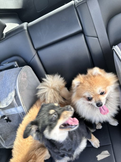 hi https://t.co/4fXjAvNIGW