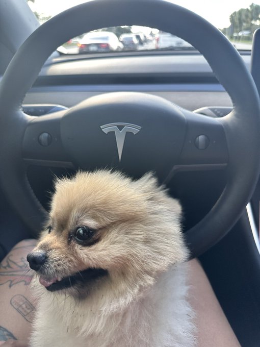 hi https://t.co/4fXjAvNIGW