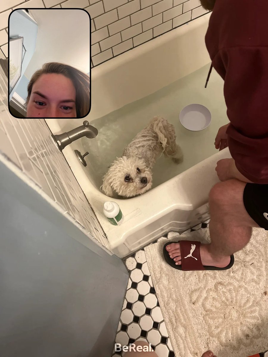 mindydancepants's tweet photo. #RealestPersonOnEarth 
From bathing my wet rat, to the most intense Christmas village, to the boob pump before the party 😂 https://t.co/FS3GxILU1e