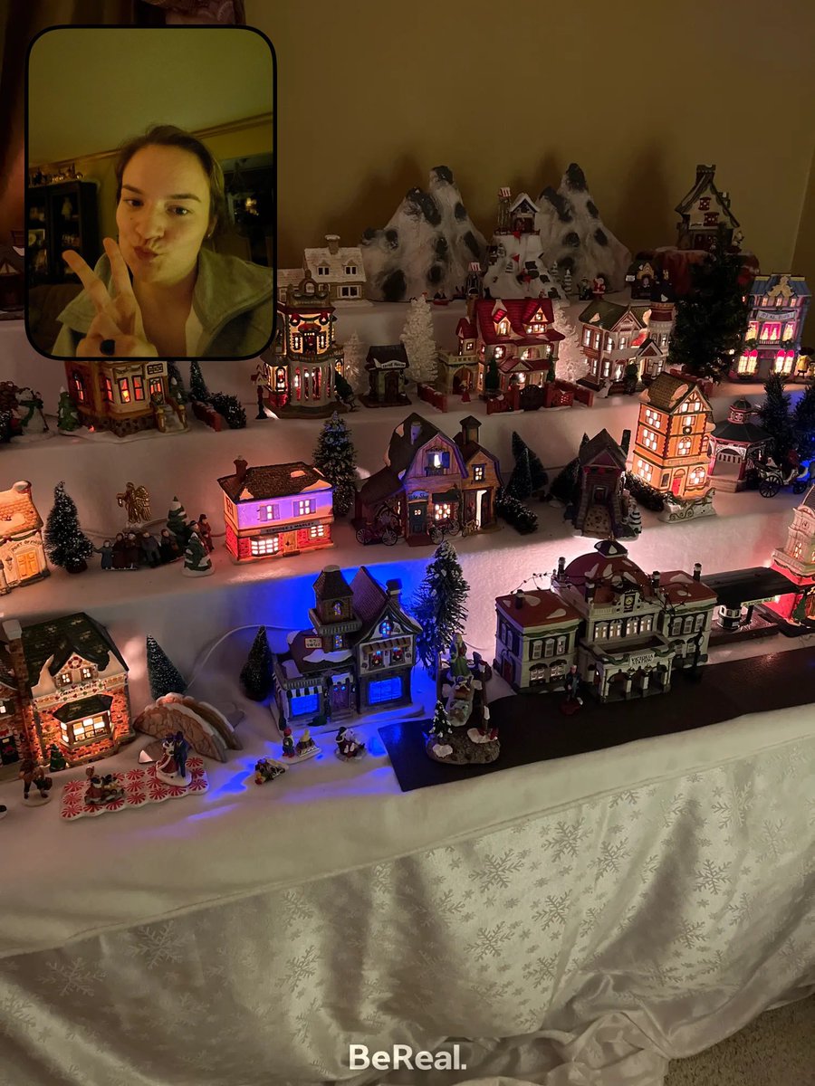 mindydancepants's tweet photo. #RealestPersonOnEarth 
From bathing my wet rat, to the most intense Christmas village, to the boob pump before the party 😂 https://t.co/FS3GxILU1e