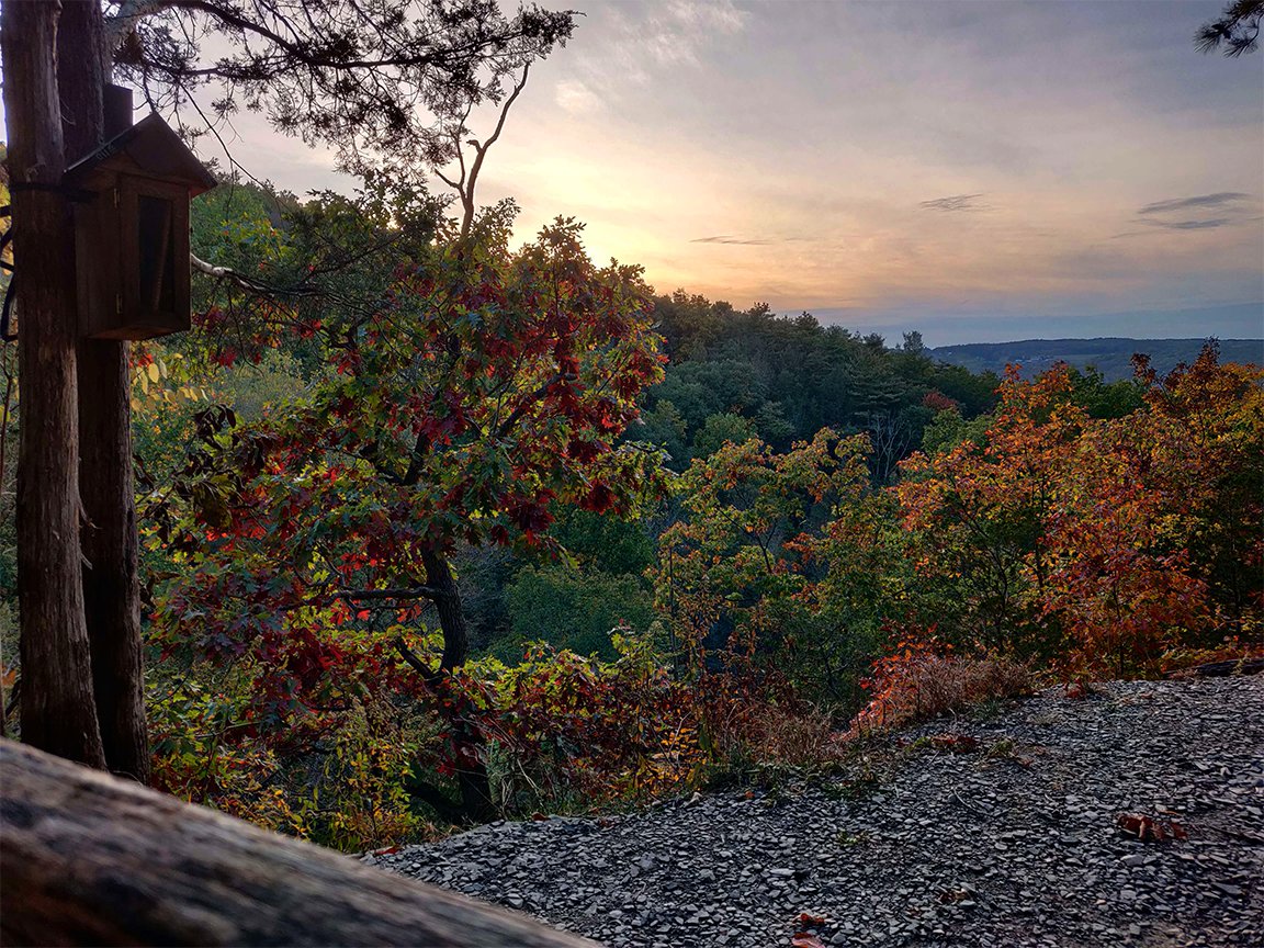 BastardSuper's tweet photo. Somebody fastened a little box to a tree with a journal in it so that people can write down their thoughts while they watch the sunset from this bench in the woods. https://t.co/cUlVqS3020