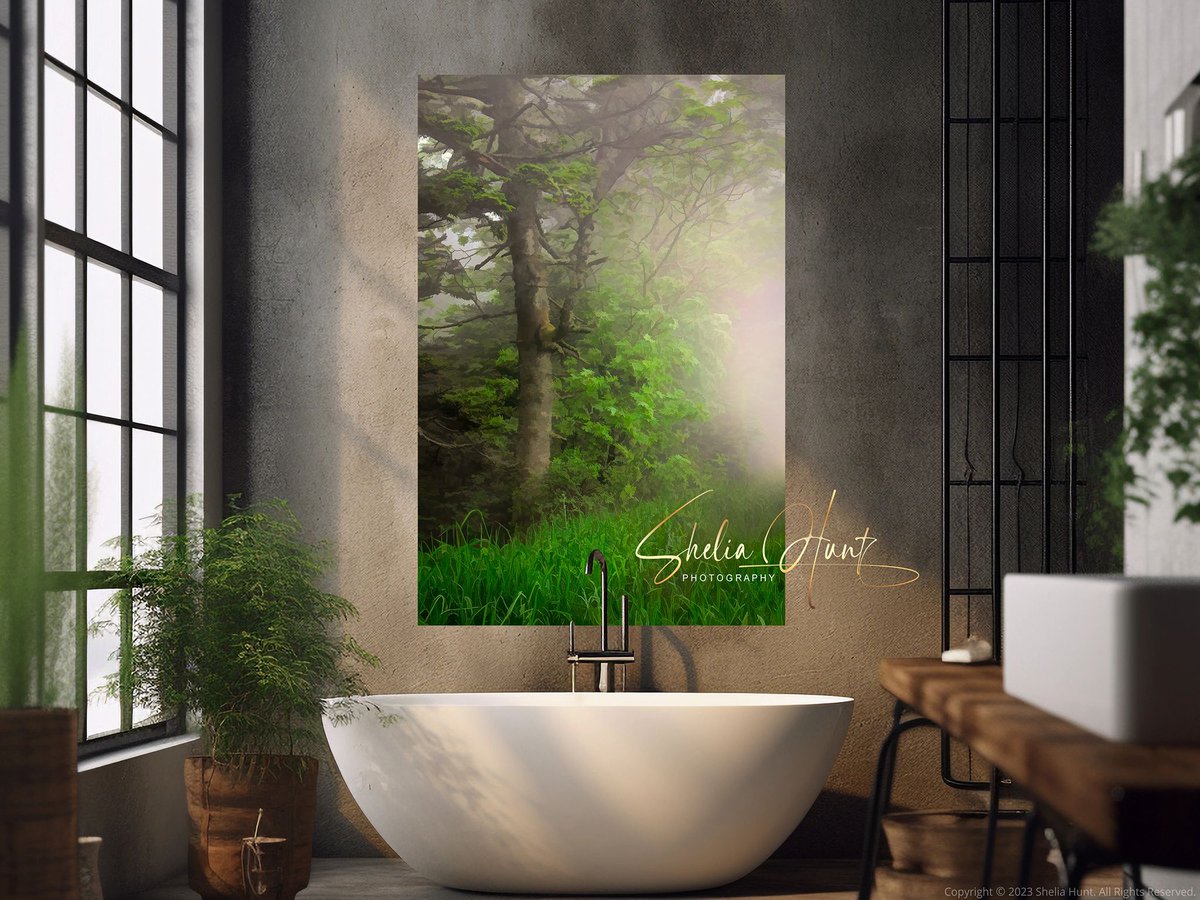 "𝐀𝐏𝐏𝐀𝐋𝐀𝐂𝐇𝐈𝐀𝐍 𝐌𝐈𝐒𝐓𝐒”  ❤️ 
Bring it home... Get it HERE: buff.ly/3F74rTJ 

#AppalachianMountains #Appalachians #fineart #BuyIntoArt #AYearForArt #BlueRidgeMountains #country