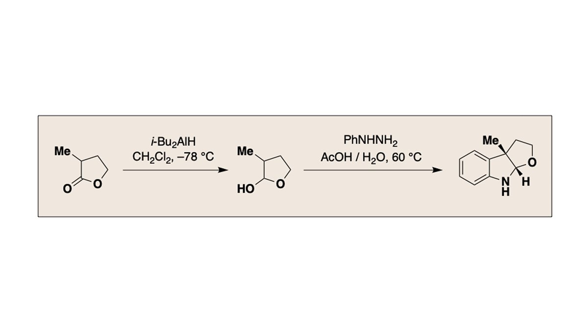 OrgSynth's tweet photo. Synthesis of a Furoindoline Scaffold via an Interrupted Fischer Indolization
Georgia M. Scherer, Jordan Gonzalez, Laura G. Wonilowicz, and Neil K. Garg (@GargLab) #OS100
https://t.co/FEzIs9vjUF https://t.co/ZJw22eDE56