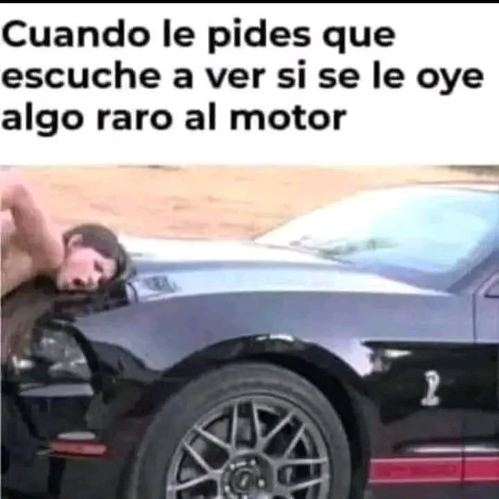 ariserrato24's tweet photo. https://t.co/o7ids4ElEv