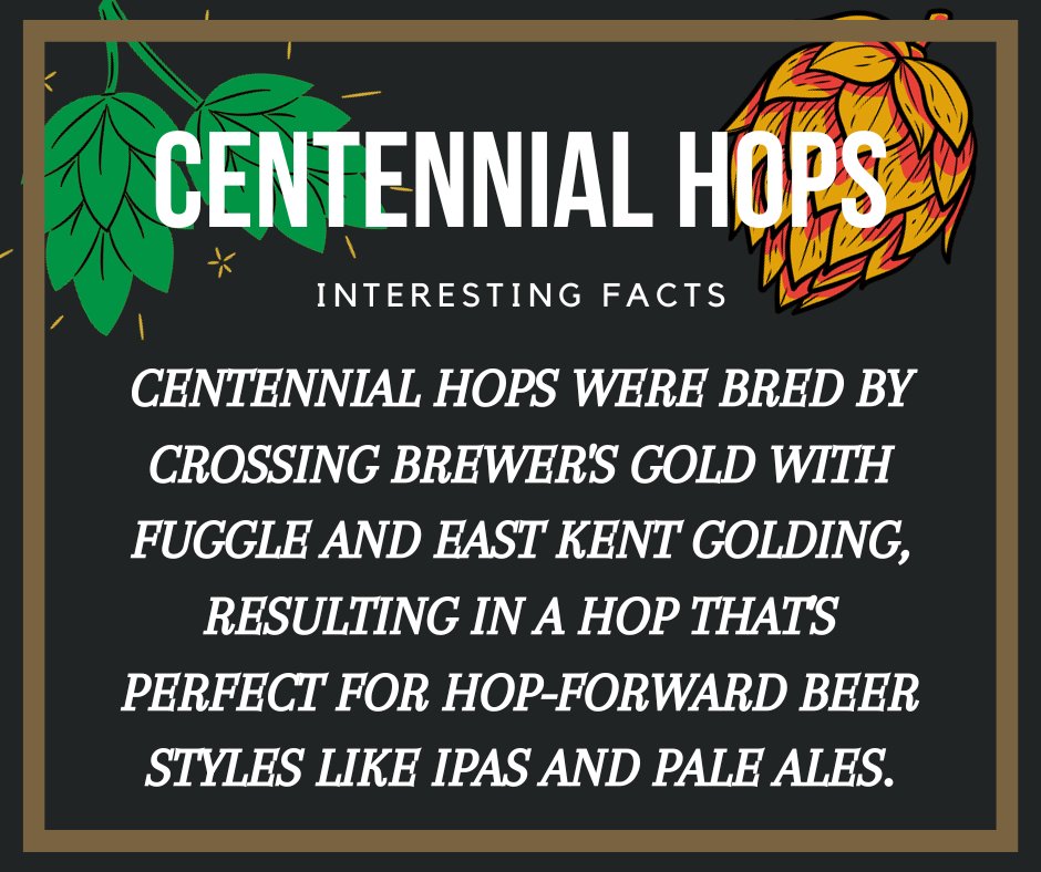 🌼🍻 Exploring Centennial Hops: A Taste of American Craft Beer History! 🇺🇸 Known for their floral, citrusy goodness, have been elevating craft beer for decades. From iconic IPAs to refreshing pale ales, Centennials are a craft beer staple.  🍺🌼 #CentennialHops #BrewingHistory