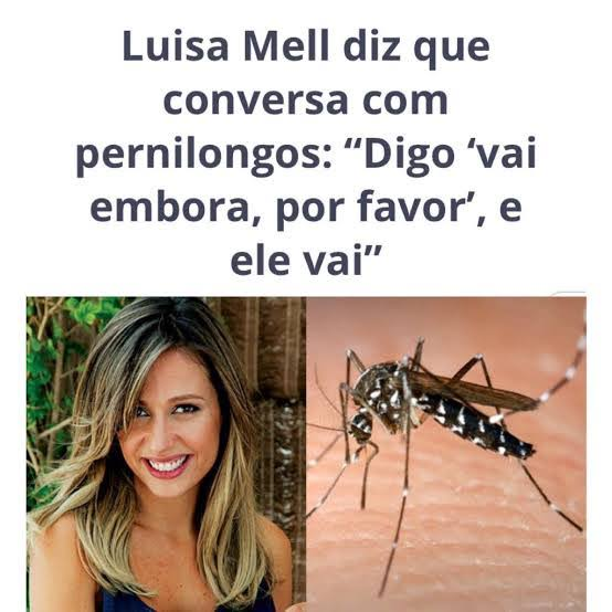 cesarbonato's tweet photo. @matheuslaneri O cara é a Luisa Mel dos ursos https://t.co/ZJ44AgBNwX