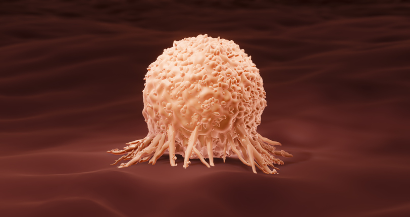 Protein Guard Mechanism May Be Used against Infectious Disease and Cancer

Researchers from the University of Birmingham report they have discovered the lock and key mechanism that controls the attack protein GPB1. Learn more: ow.ly/bPyN50PU8sY